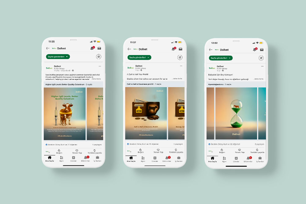 Linkedin Kampanya Postları – Dollvet